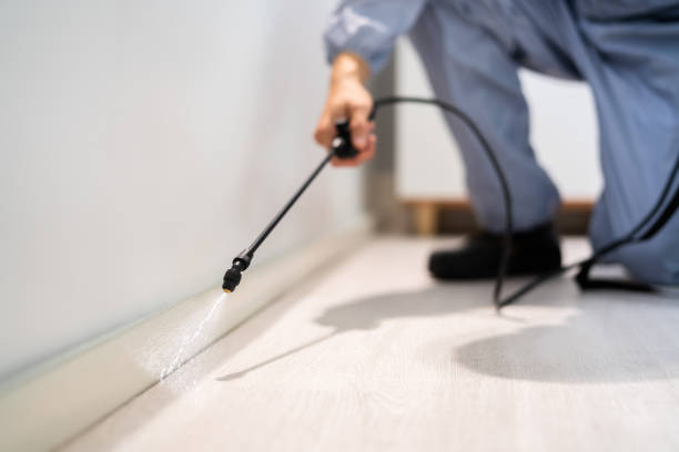 Licensed Rodent Control service in Mountrail County County, ND - Nex Pest Control